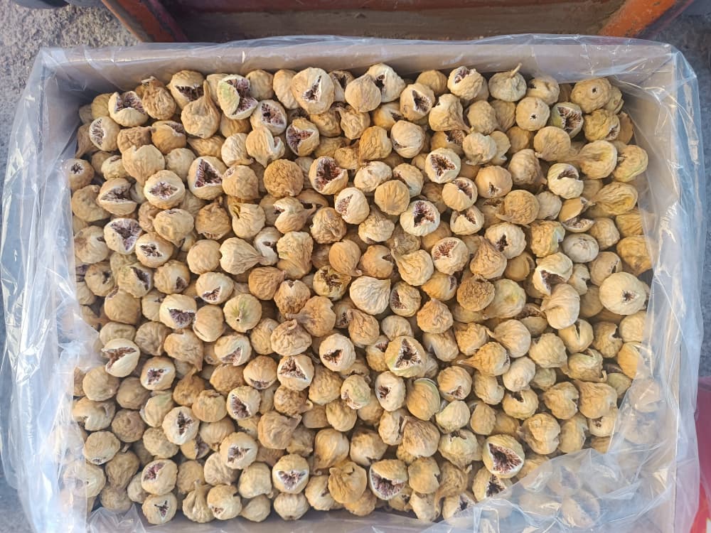 خرید انجیر مرغوب صد یک سایز متوسط